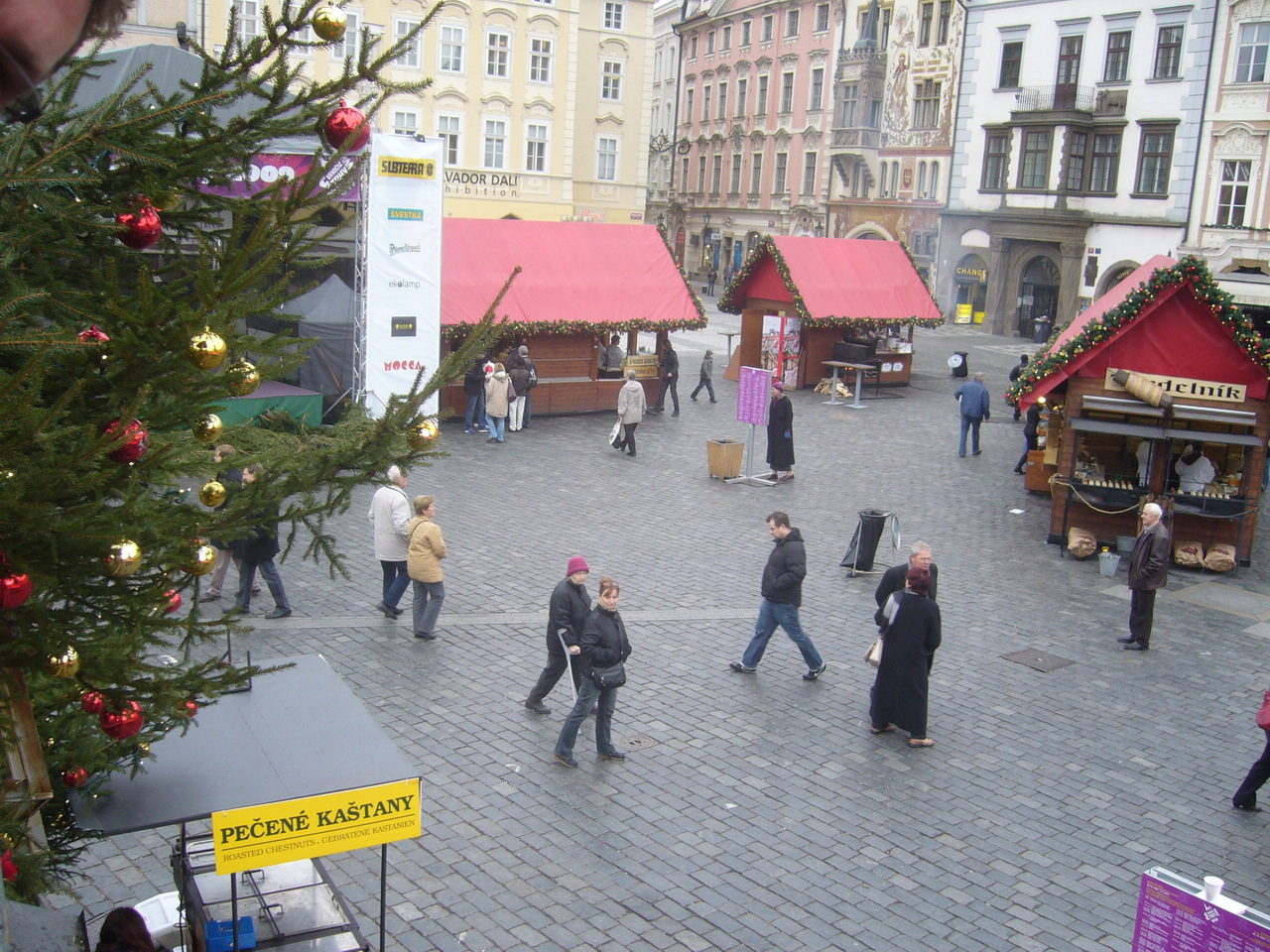 P1050217.JPG