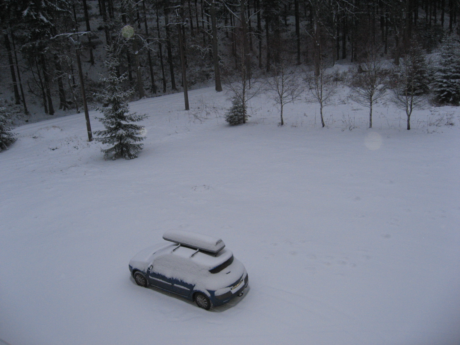 IMG_8126.JPG